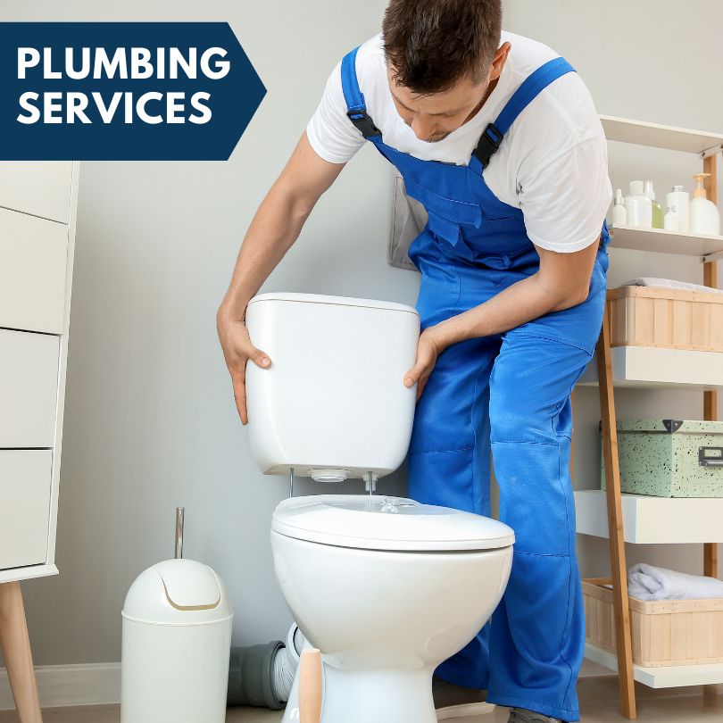Plumbing Company in Lynn Center, IL